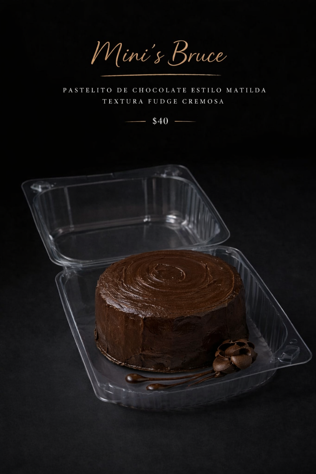 Mini's Bruce pastelito de chocolate fudge estilo Matilda en Cadereyta Jiménez Nuevo León Tentaciones Briz